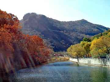 新澳门二四六天天开奖，山东龙口海景房骗局